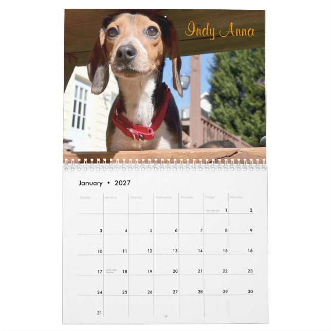 Kalender för Atlanta Beaglerädding 2015 (Jan 2027)