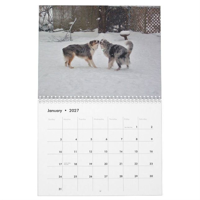 Kalender för australian shepherd 2013 (Jan 2027)