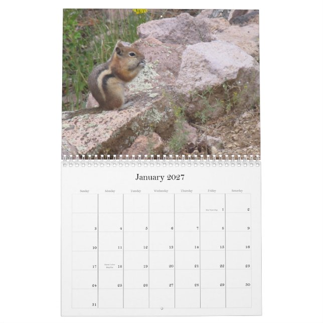 Kalender för Avataregendomnatur (Jan 2027)