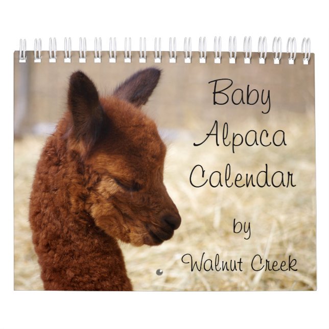 Kalender för baby Alpaca 2023 (Omslag)
