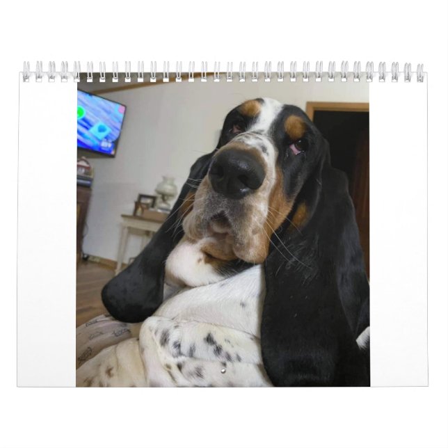 Kalender för Basset Hound (Omslag)