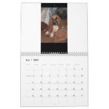 Kalender för Basset Hound