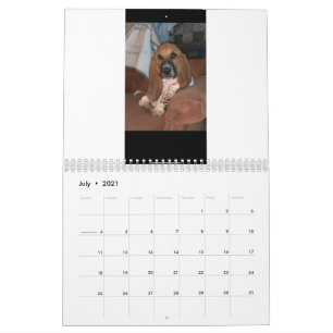 Kalender för Basset Hound