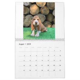 Kalender för Bassethundvalp
