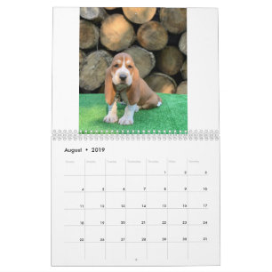 Kalender för Bassethundvalp