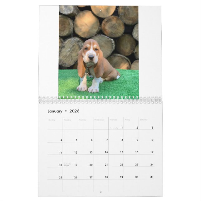 Kalender för Bassethundvalp (Jan 2026)