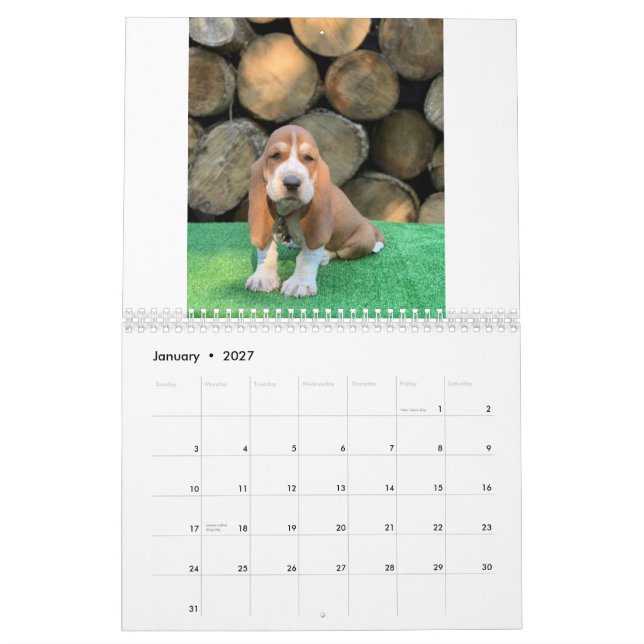 Kalender för Bassethundvalp (Jan 2027)