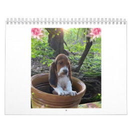 Kalender för Bassethundvalp