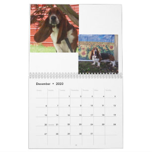 Kalender för Bassethundvalp