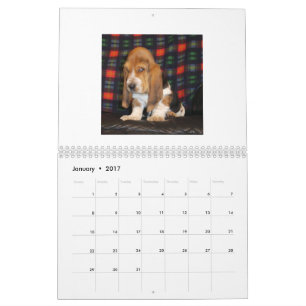 Kalender för Bassethundvalp