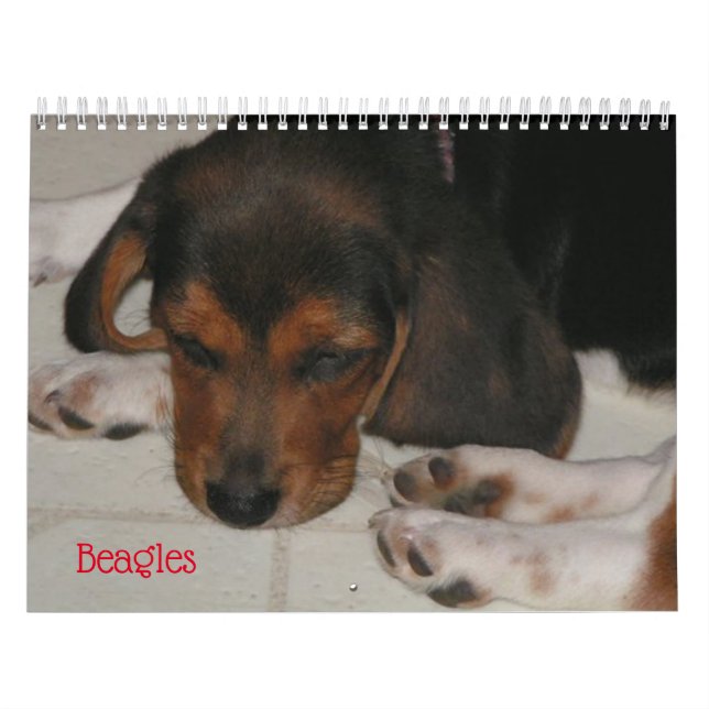Kalender för Beagle Älskare (Omslag)