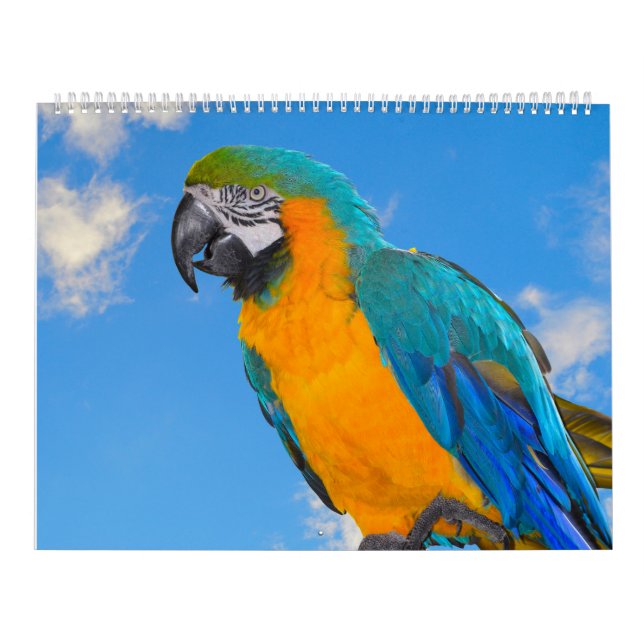 Kalender för blandade delar (Omslag)