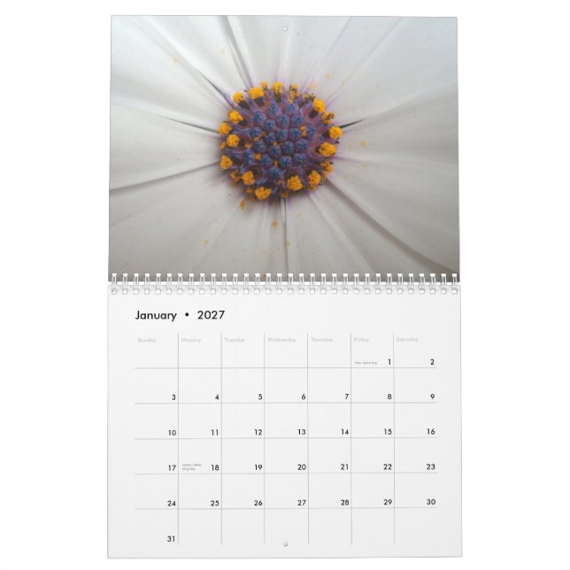 Kalender för blommor 2010 (Jan 2027)