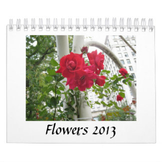 Kalender för blommor 2013