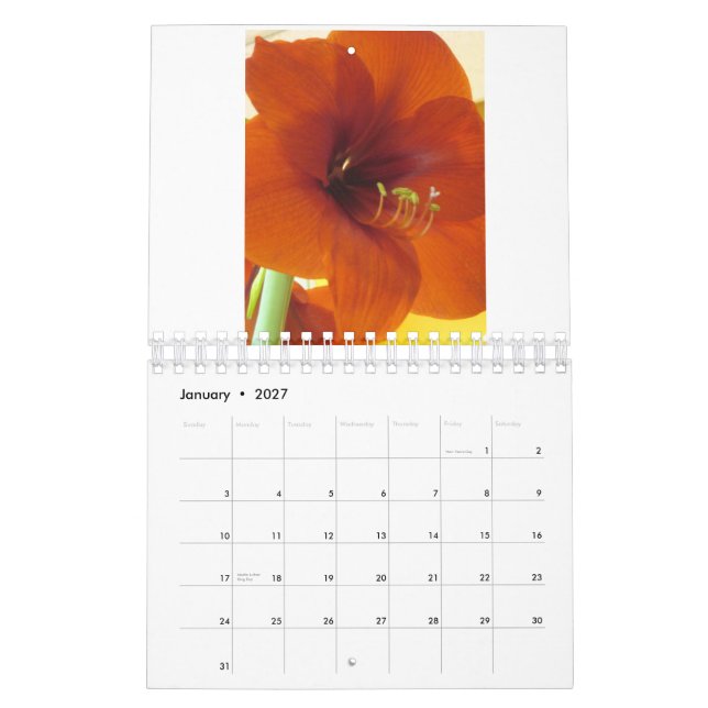 Kalender för blommor 2013 (Jan 2027)