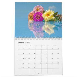 Kalender för blooming av beauties