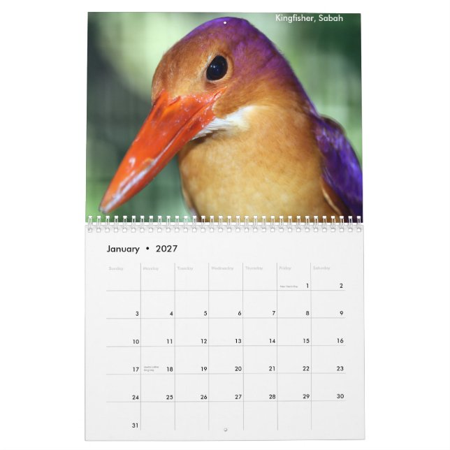 Kalender för Borneo Rainforestdjur (Jan 2027)