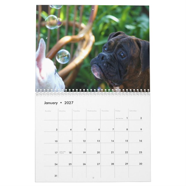 Kalender för boxare 2013 (Jan 2027)
