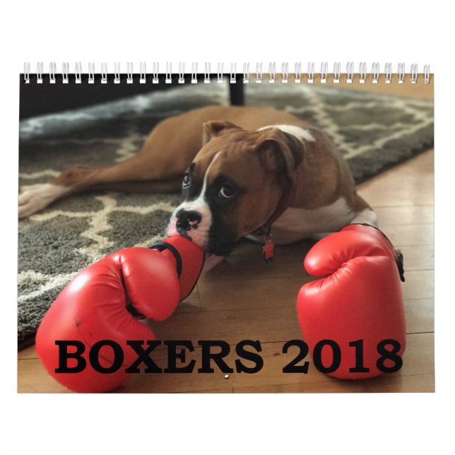 KALENDER FÖR BOXARE 2018 (Omslag)