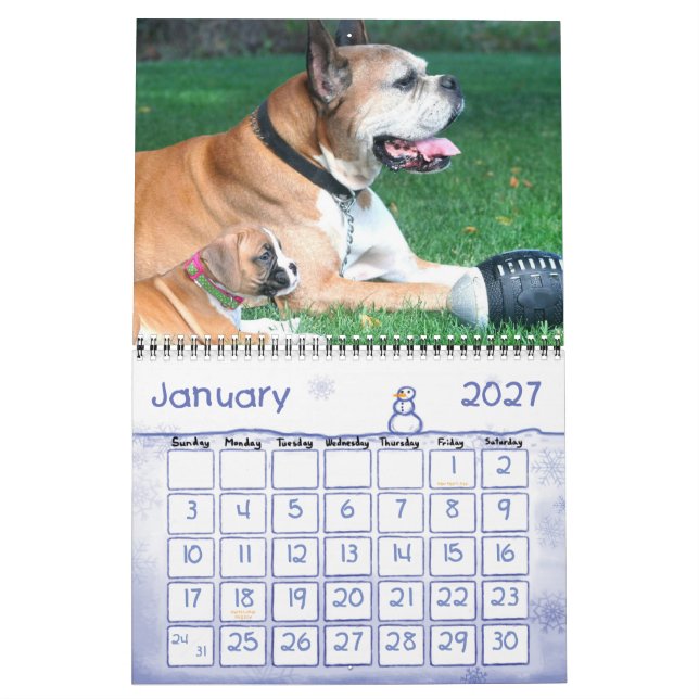 Kalender för boxarevalpar 2010 (Jan 2027)