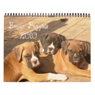 Kalender för boxarevalpar 2010