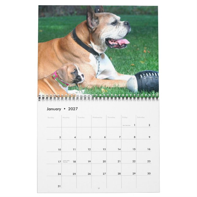 Kalender för boxarevalpar 2012 (Jan 2027)