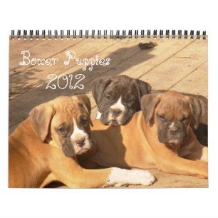 Kalender för boxarevalpar 2012