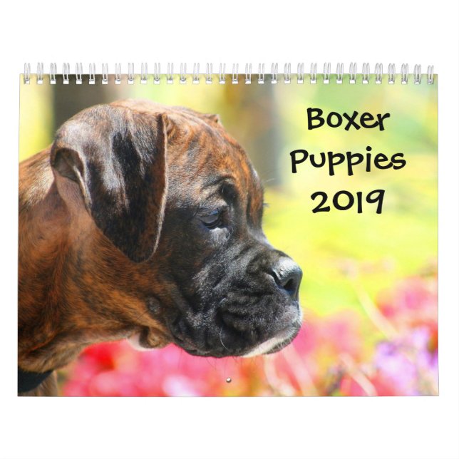 Kalender för boxarevalpar 2019 (Omslag)