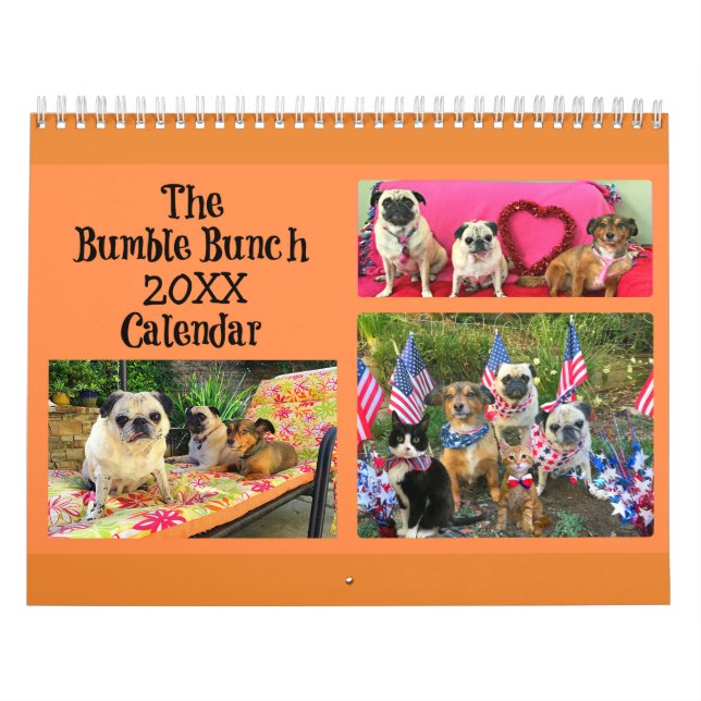Kalender för bumblegrupp 2019 (Omslag)