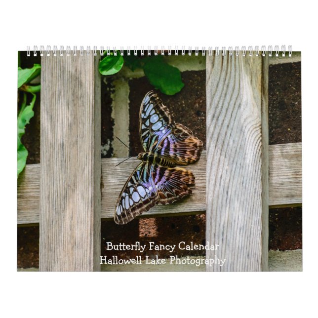 Kalender för Butterfly Finare (Omslag)