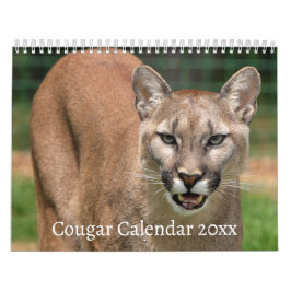 Kalender för Cougar Vild katt