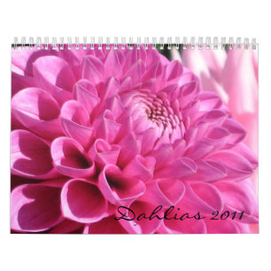 Kalender för Dahlias 2011