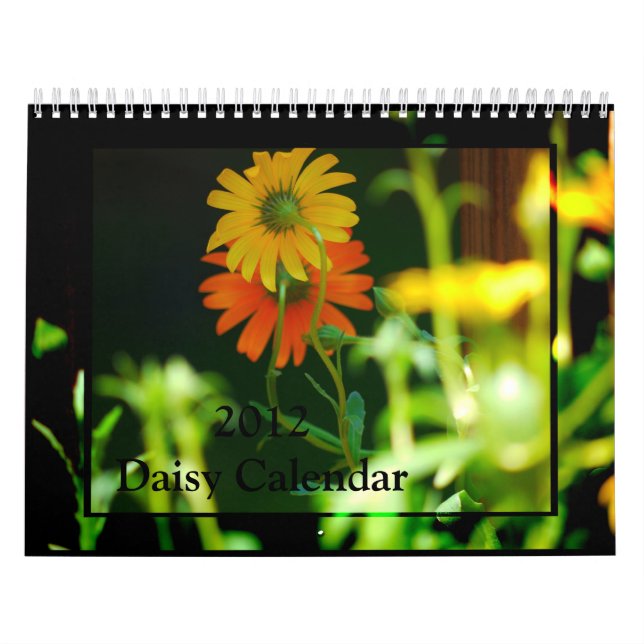 Kalender för Daisy 2016 (Omslag)