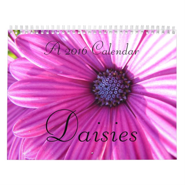 Kalender för daisy 2016 (Omslag)