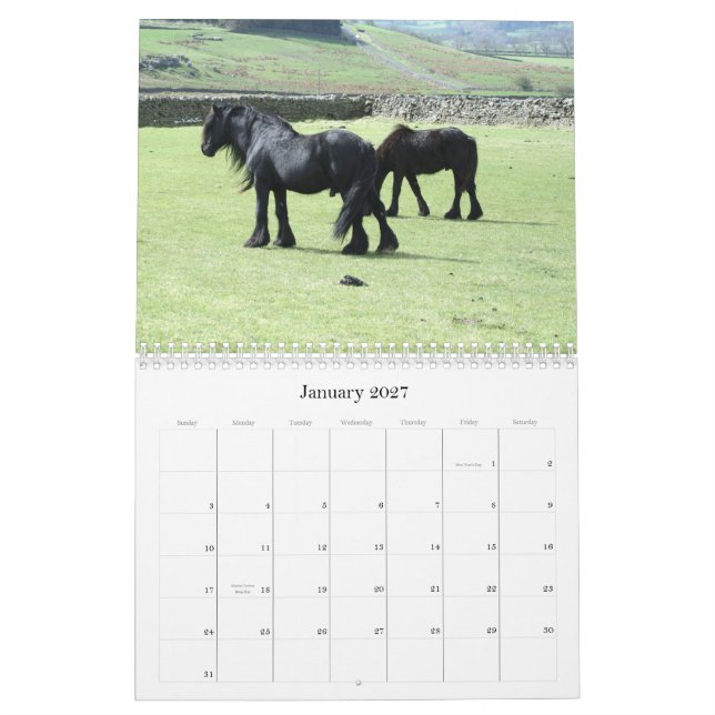 Kalender för dalponny 2012 (Jan 2027)