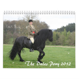 Kalender för dalponny 2012