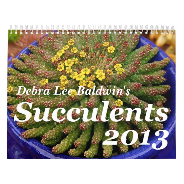 Kalender för Debra Lee Baldwins suckulenter 2013 (Omslag)