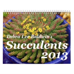 Kalender för Debra Lee Baldwins suckulenter 2013