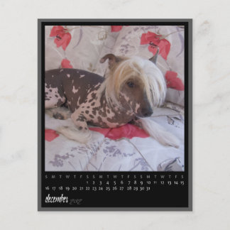 Kalender för december 2012