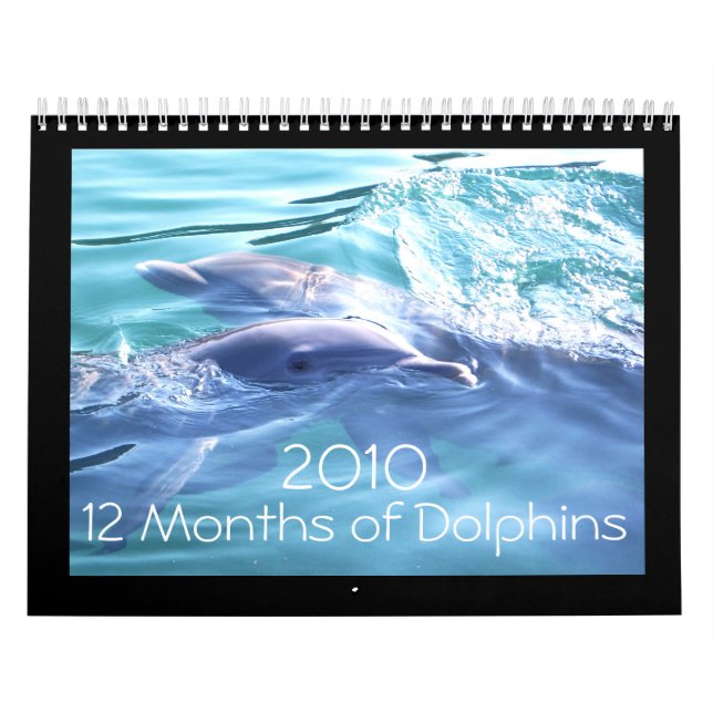 Kalender för delfiner 2010 (Omslag)