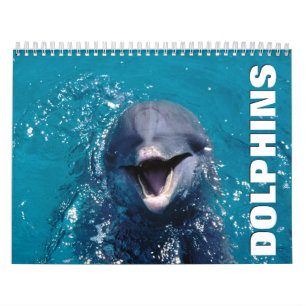 Kalender för delfiner i väggskalender