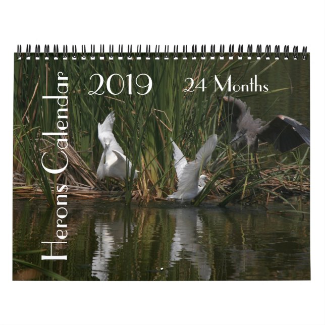 Kalender för djur 2019 för Heronfågeldjurliv (Omslag)