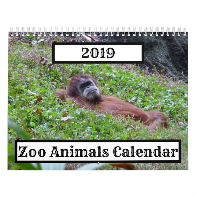 Kalender för djurparker 2019 (Omslag)
