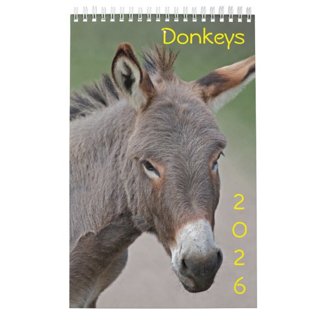 Kalender för Donkey (Omslag)