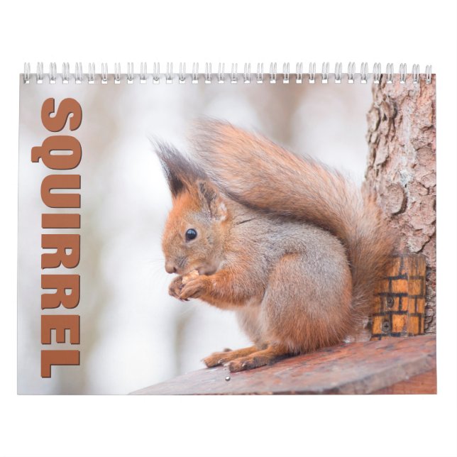 Kalender för ekvirrelmur (Omslag)