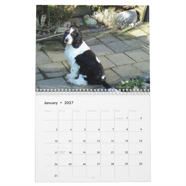 kalender för engelskacockerspanielspaniel (Jan 2027)