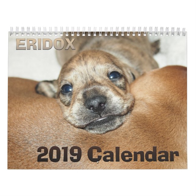 Kalender för Eridox taxar 2019 (Omslag)