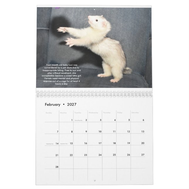 Kalender för ersättning för Rädding av färjor (Feb 2027)