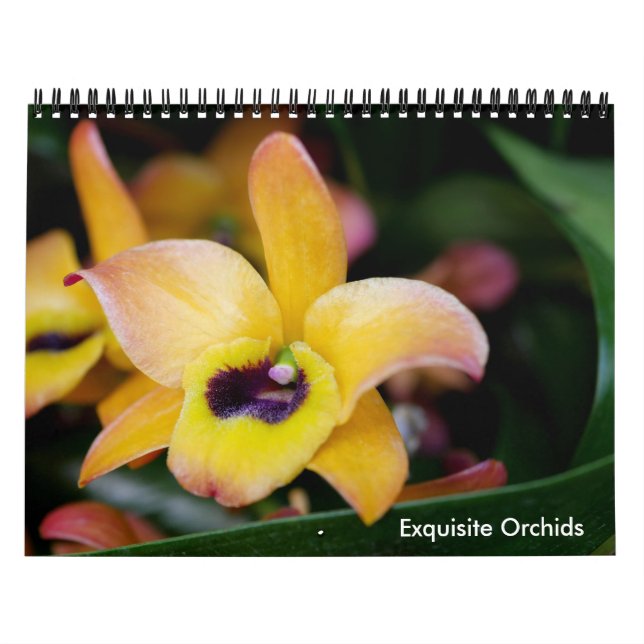 Kalender för exekutiva beställningar (Omslag)