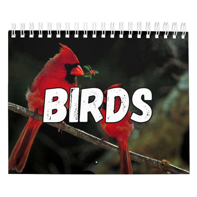 Kalender för fågeluppsamlingsmur (Omslag)